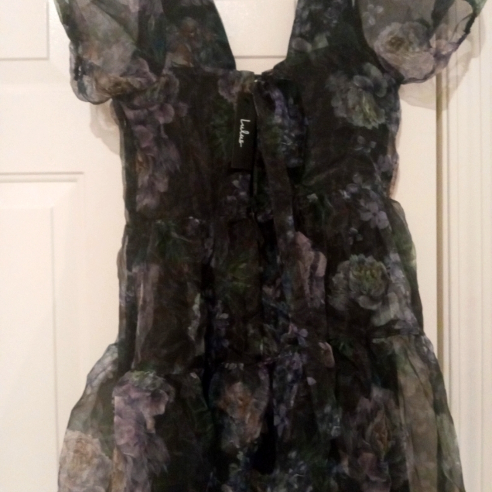 Lulu's Floral Sheer Mini Dress Organza Fabric With Puff Sleeves